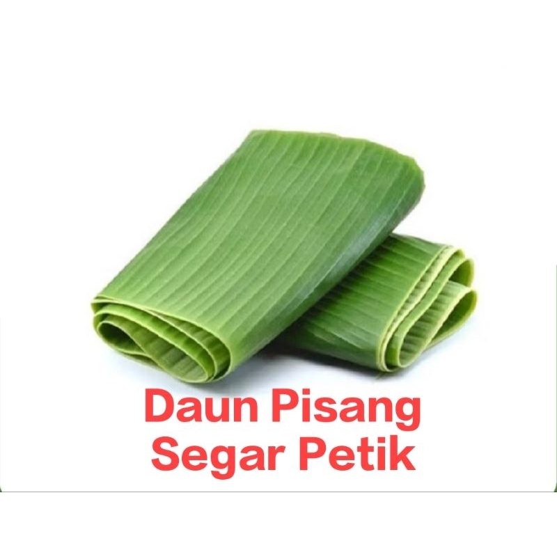 

Daun Pisang Segar Dipetik dari kebun 500 gr