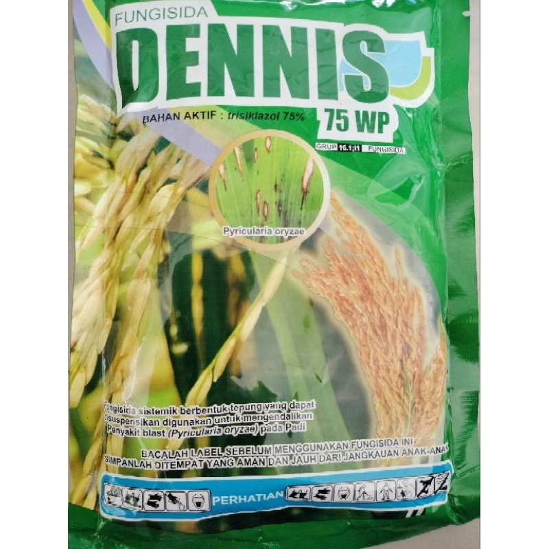 fungisida DENNIS 75WP 100gr mengendalikan penyakit blast pada tanaman padi