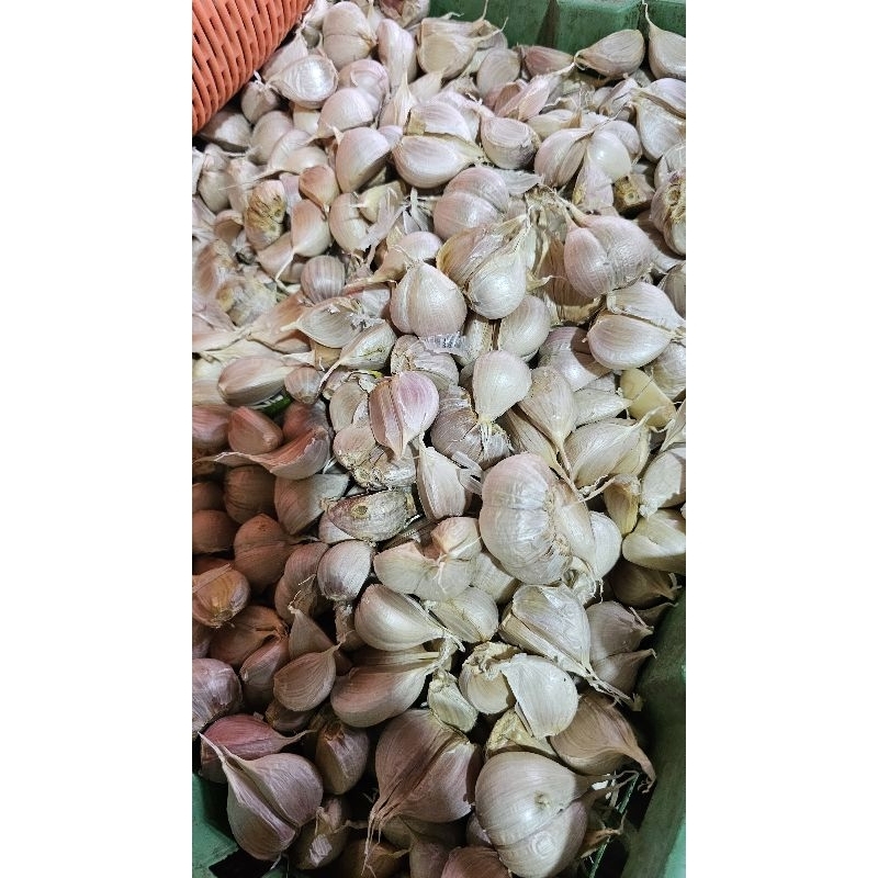 

Bawang putih kating 1kg