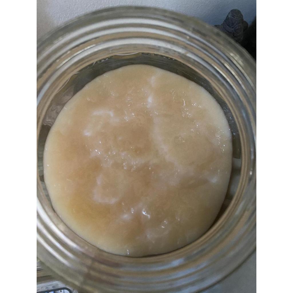 

Scoby Jumbo Kombucha Besar Tebal -/+2-3cm Lebar -/+12-15cm Premium