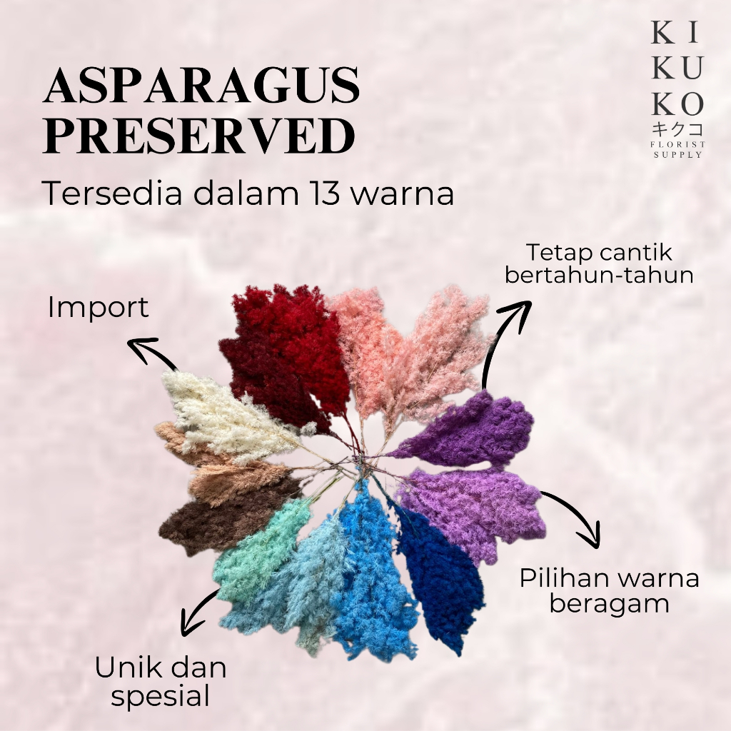 Preserved Asparagus Bintang - Bunga Kering Flower