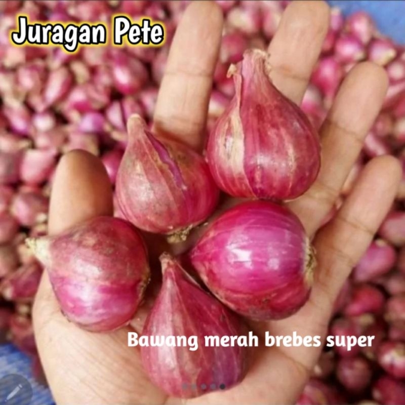 

BAWANG MERAH SUPER KEMASAN 1KG/BAWANG MERAH BREBES/BAWANG MERAH SUPER/BAWANG MERAH MURAH/BUMBU MASAK