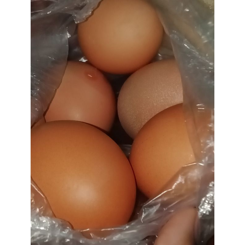 

TELUR AYAM FRESH 1KG