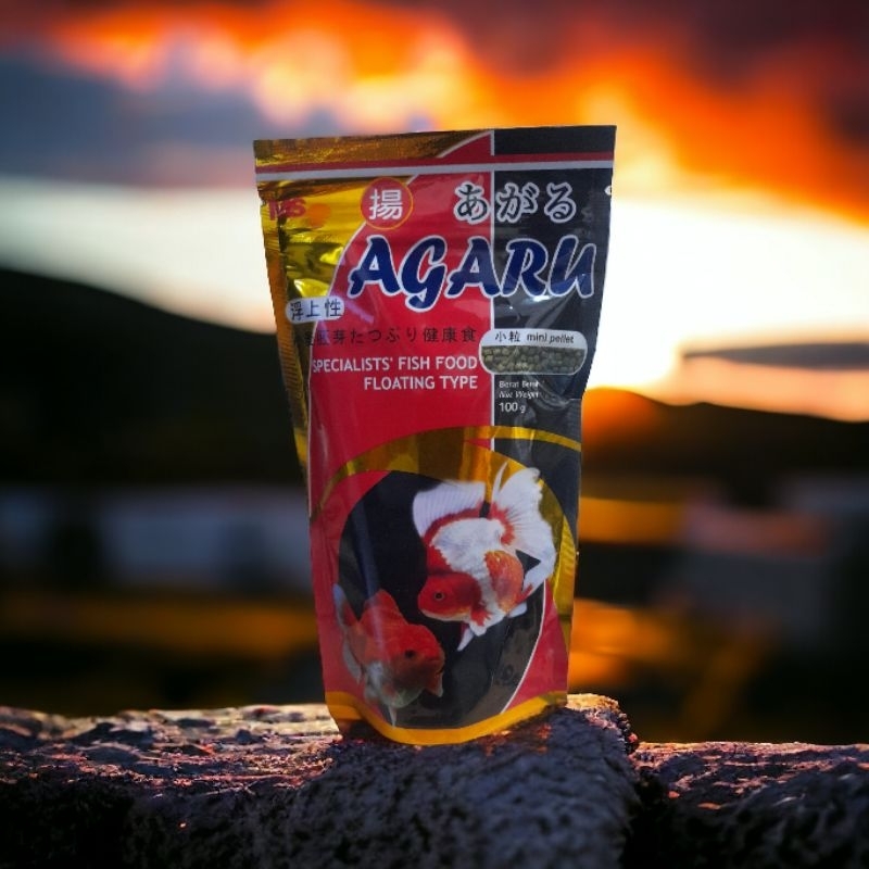 agaru pakan ikan koki goldfish