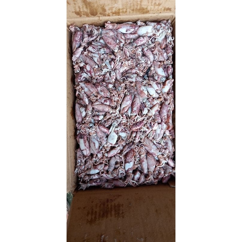 

ikan asin cumi rebus / sotong rebus size sedang 500 gram