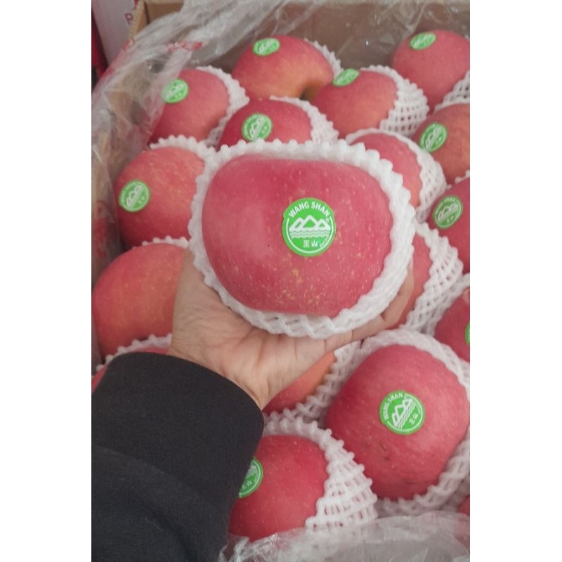 

Apel Fuji Wangshan Dus Pink 1 dus 13 kg