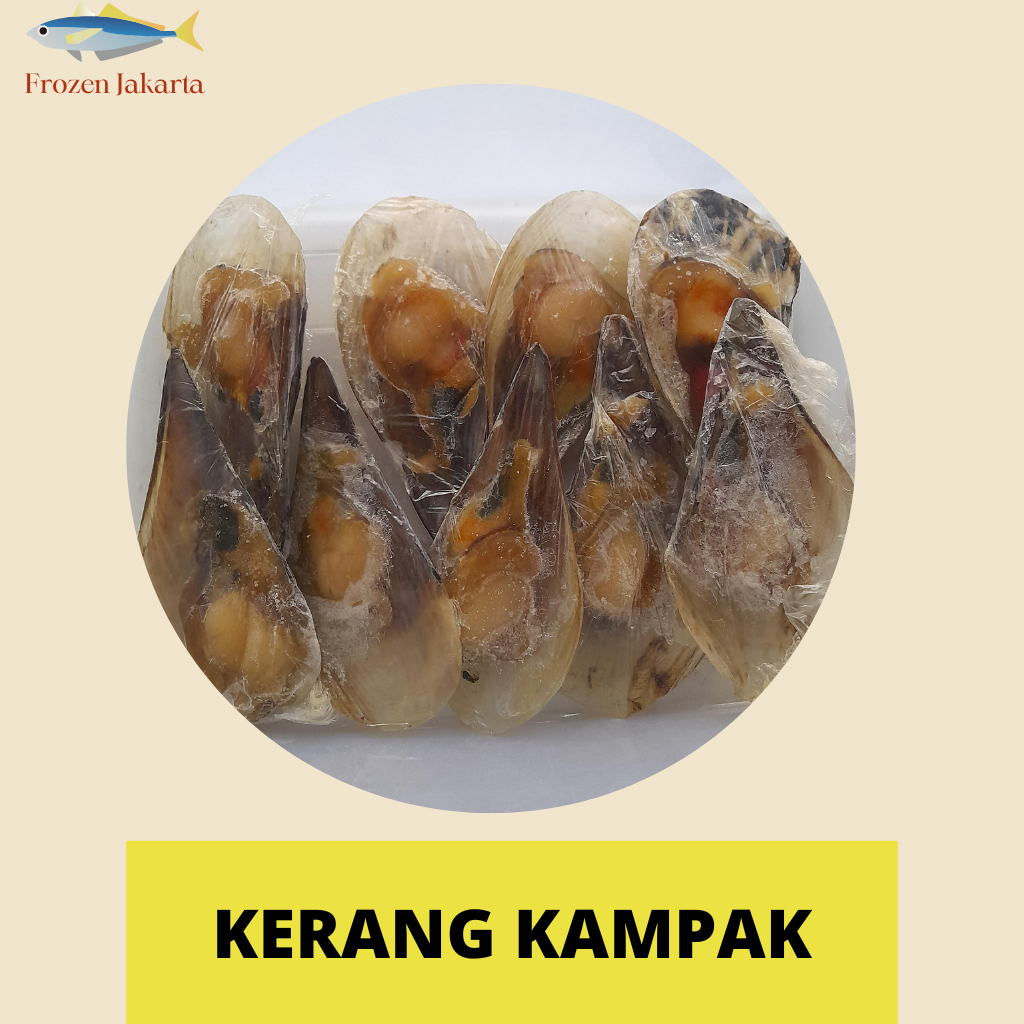 

KERANG KAMPAK KAYA OMEGA-3 FRESH