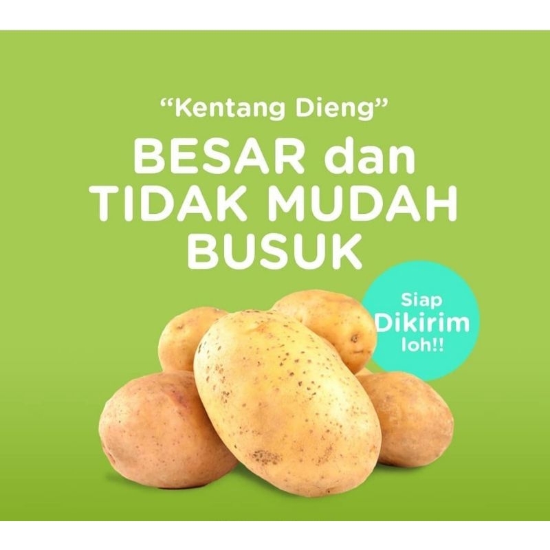 

KENTANG DIENG SUPER 500GR/KENTANG SEGAR PILIHAN/KENTANG DIENG MURAH/SAYURAN SEGAR/UMBI UMBIAN