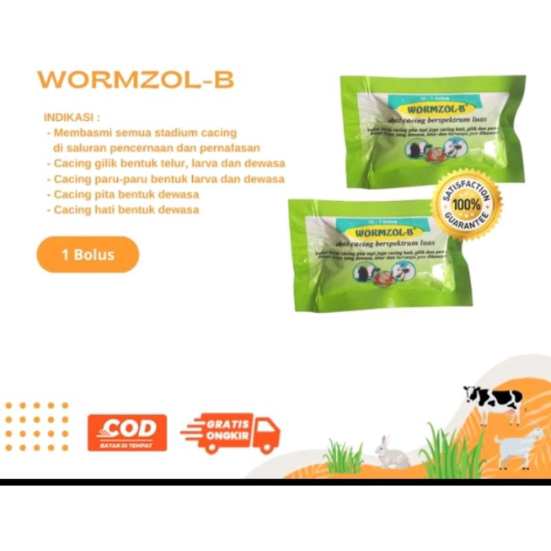 WORMZOL B ECER 1 BOLUS OBAT CACING WORMZOL OBAT CACING SAPI