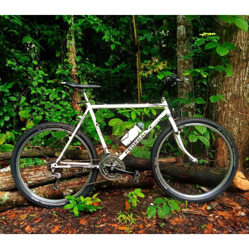 Sepeda Federal Jaguar Focus 550 Vintage Mtb Commuter Bike Rare bukan Poema Hunter Street Cat