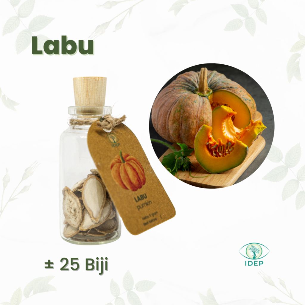 Benih Organik Labu waluh Idep