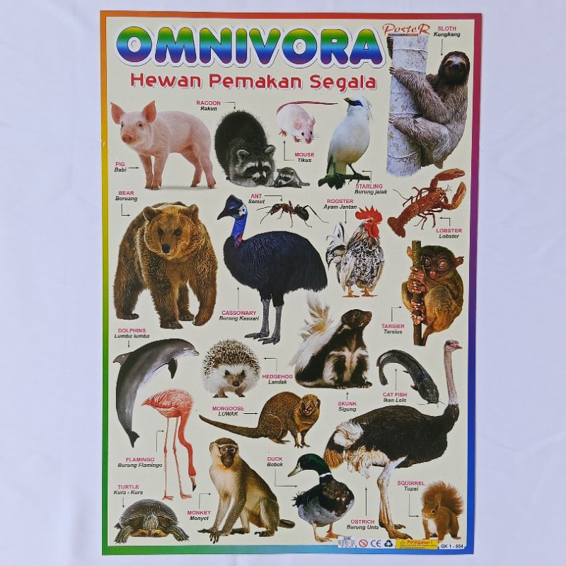 Poster Anak Edukasi Hewan Omnivora