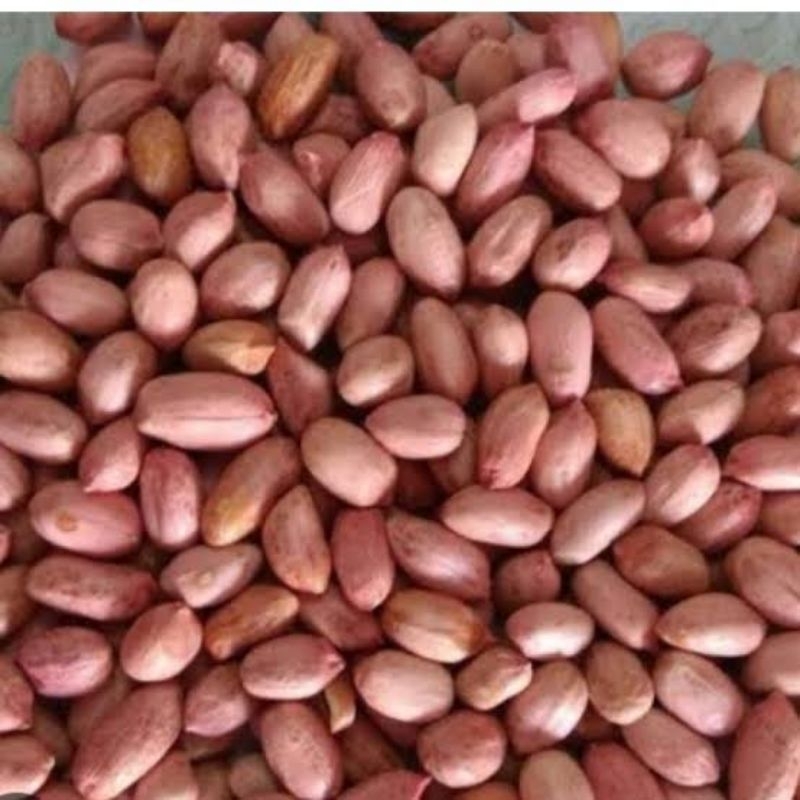 

kacang kupas 500 gr