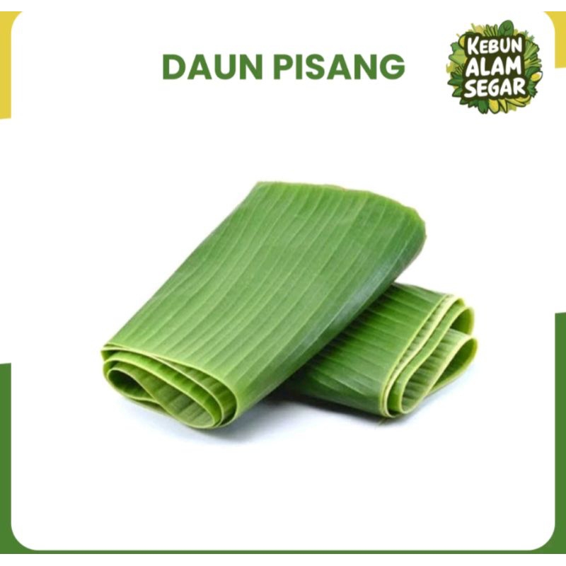 

DAUN PISANG SEGAR FRESH DARI KEBUN LANGSUNG
