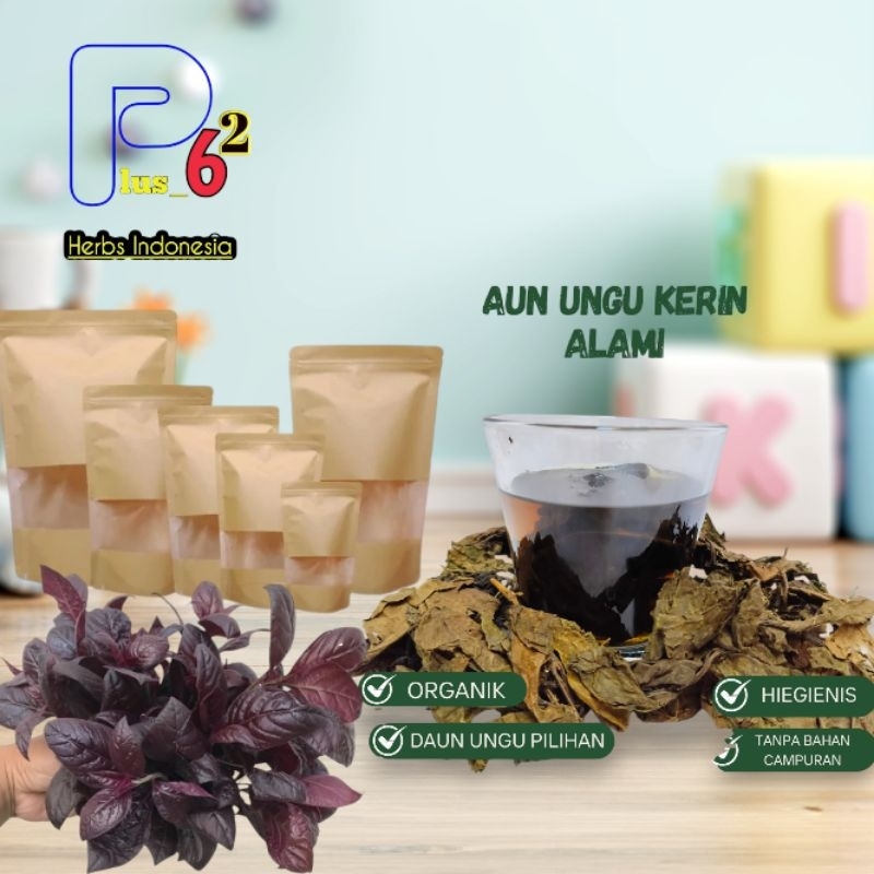 

Obat wasir/ambeien daun ungu/handeleum siem kering hemat/bungkus 1 kali seduh