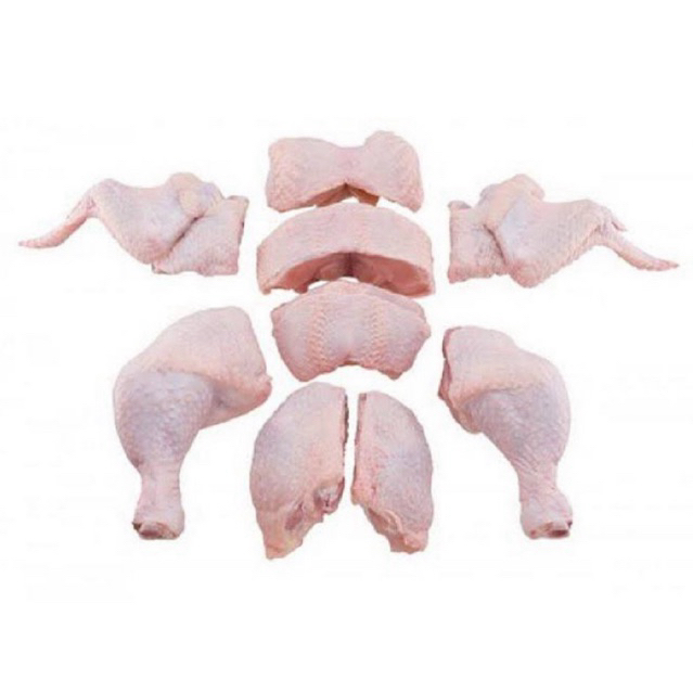 

Ayam broiler potong