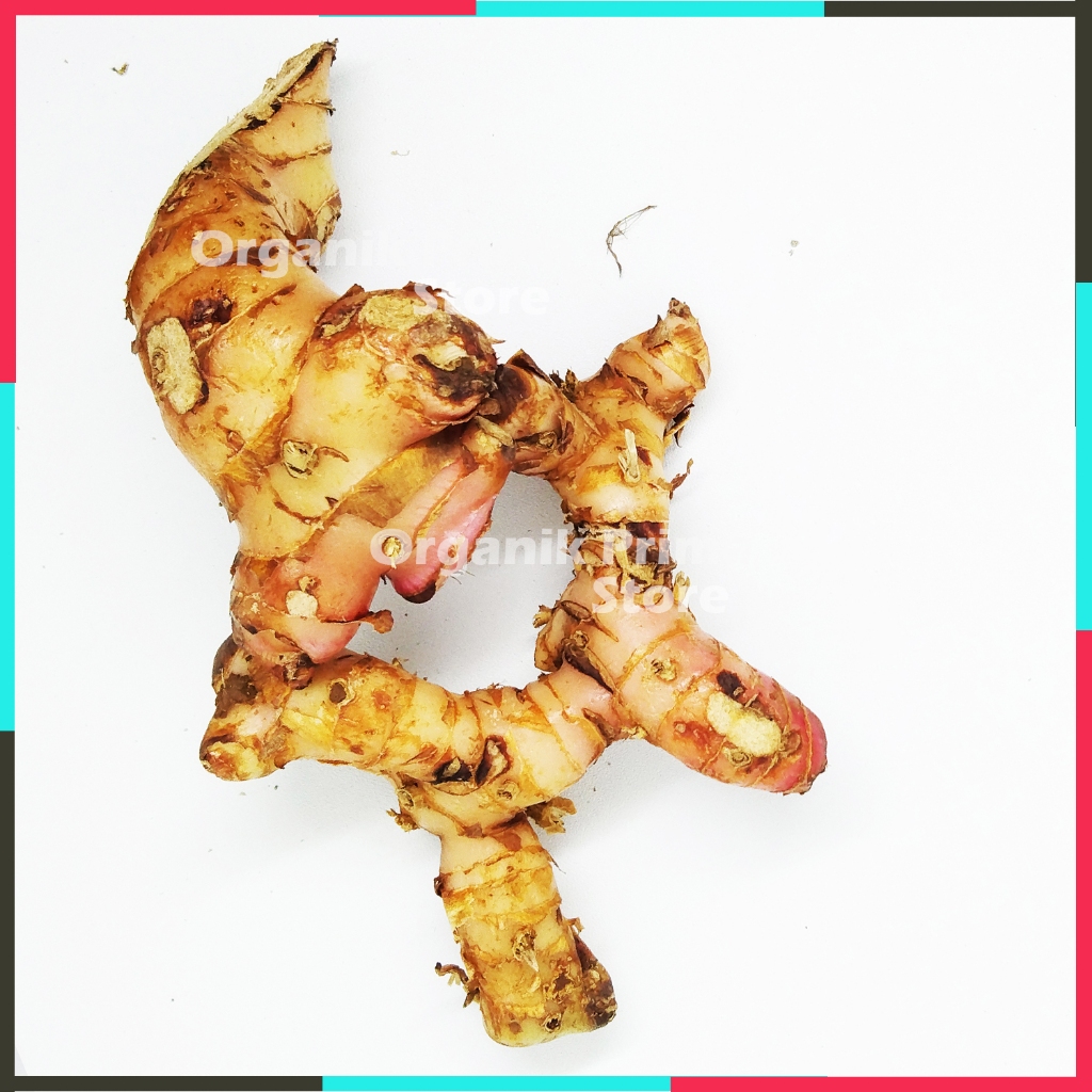 

Lengkuas Segar Bersih dan Organik