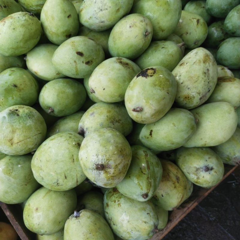 

Mangga Indramayu /manis/mengkel (berat 1kg)