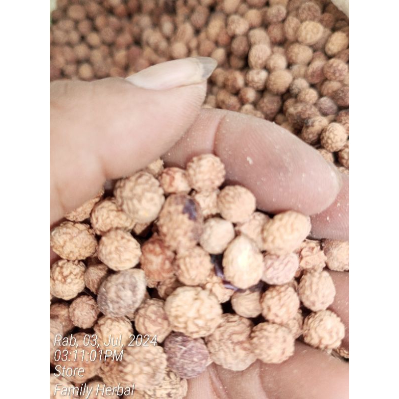 

biji bidara 1 kg,Biji buah bidara kering bersih