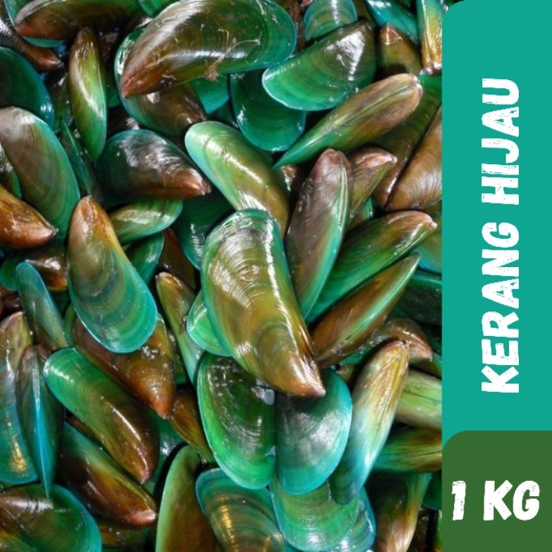 

Fresh Kerang Hijau 1kg