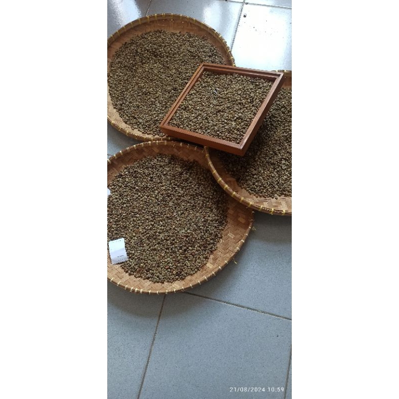 

Green Been Asalan Robusta Lampung Barat ( 1 kg)