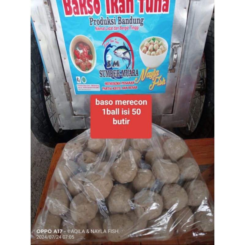 

basi ikan merecon pedas besar SUMBER MUARA isi 50 butir