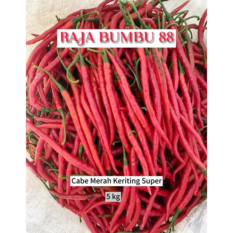 

Cabe Merah Keriting SUPER 5 kg , RB88