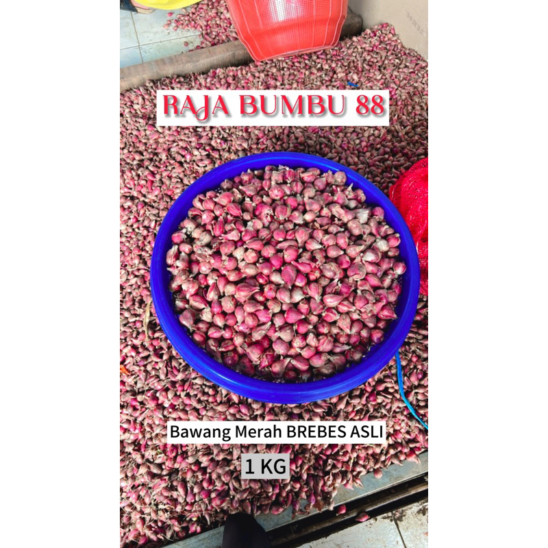 

Bawang Merah BREBES ASLI 1 KG , RB88