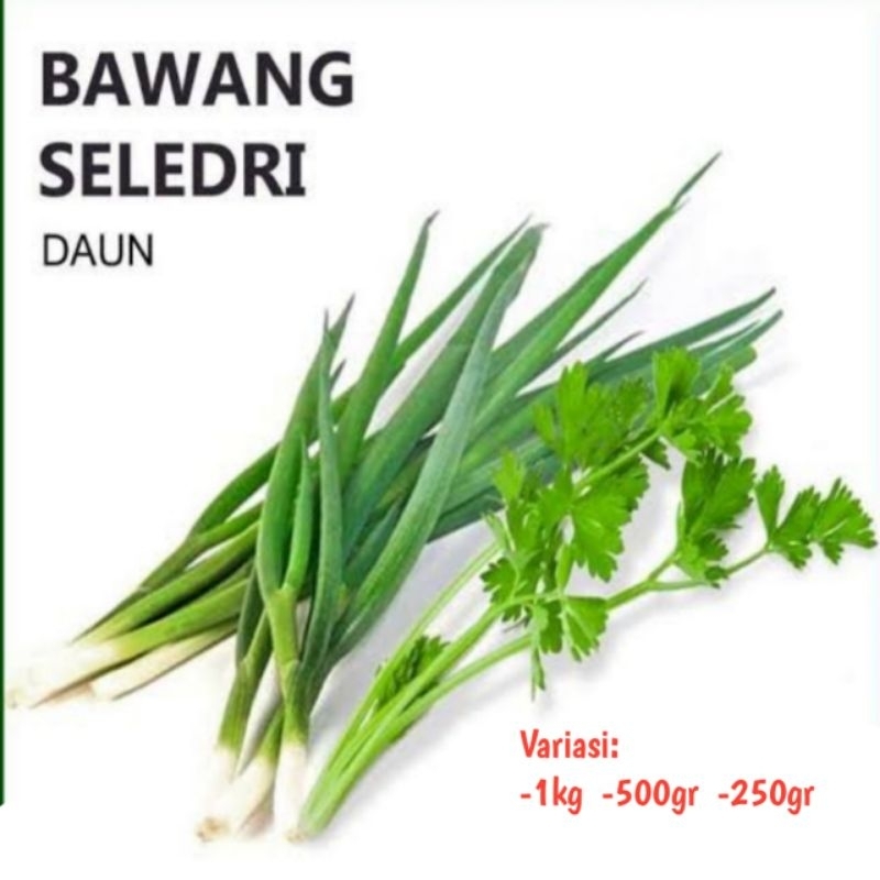 

DAUN BAWANG SELEDRI SEGAR/DAUN BAWANG SEGAR/DAUN SELEDRI/SAYURAN SEGAR/SAYURAN DAUN/SAYUR FRESH