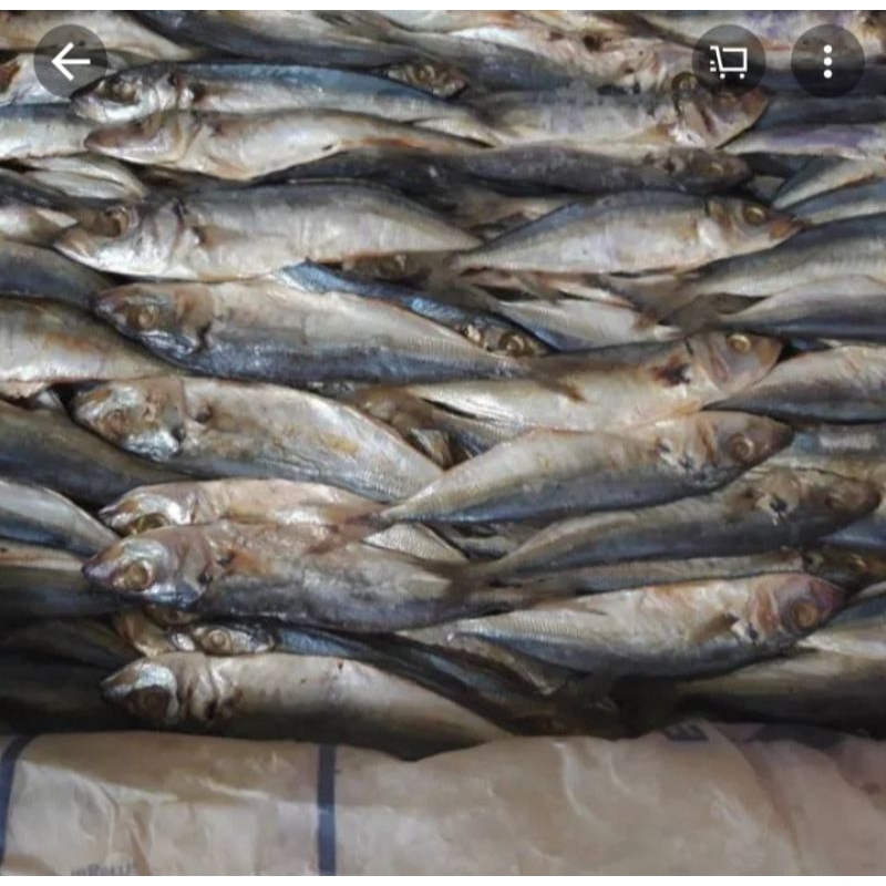 

ikan asin japu 500 gram