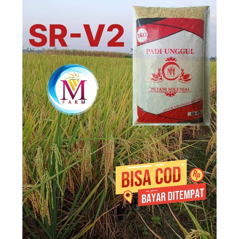 benih padi SR V2 genjah 5kg original produk