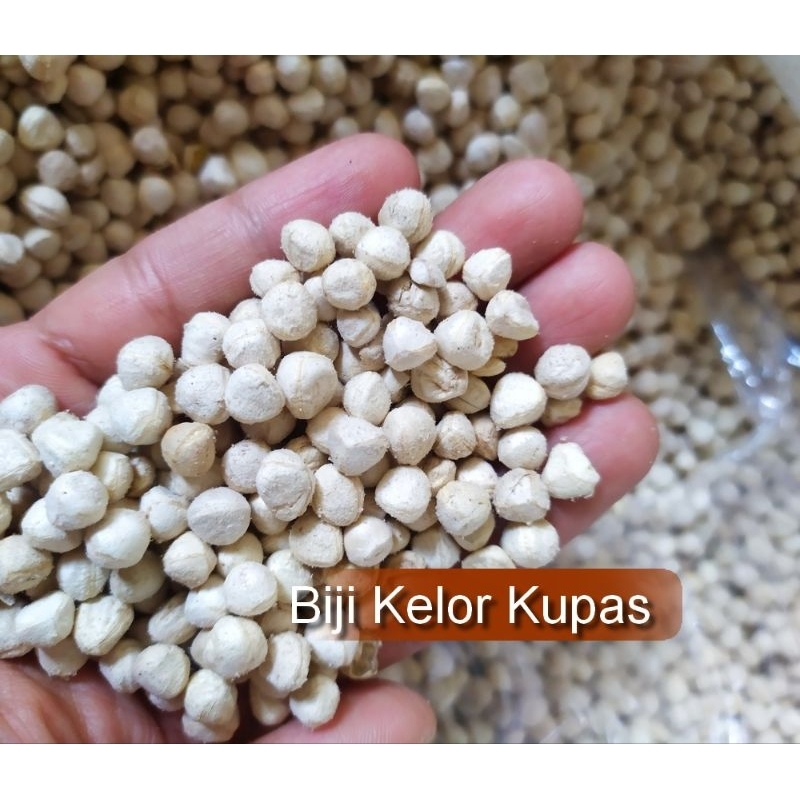 

BIJI KELOR KUPAS 1kg