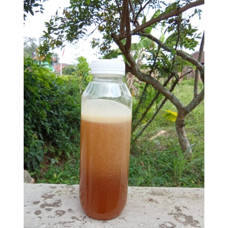 

madu hutan multiflora