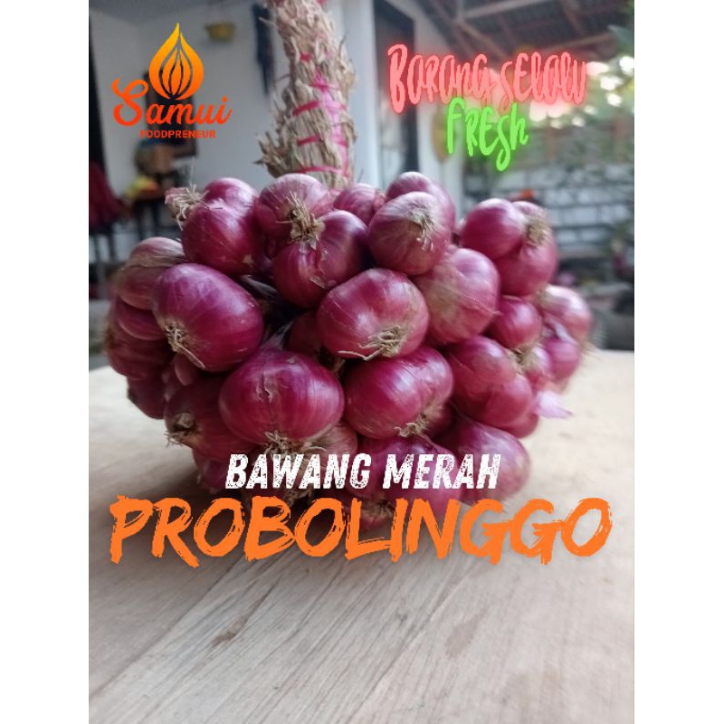 

Bawang merah Probolinggo