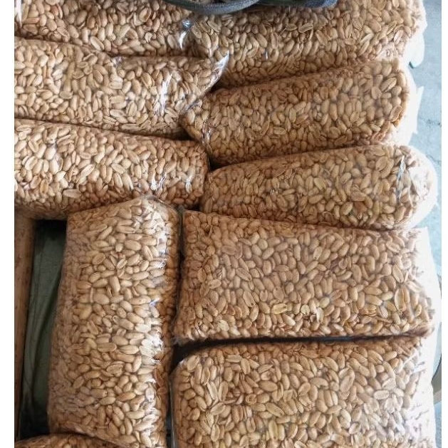 

KACANG BAWANG/ KACANG GAWIL GURIH PREMIUM