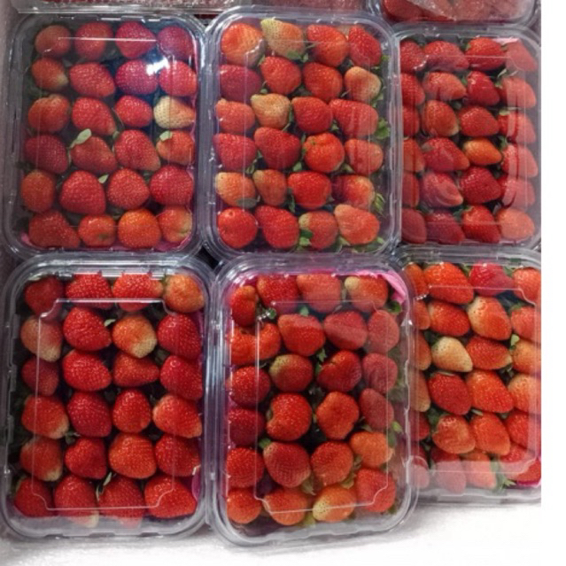 

strawberry fresh grade B (sedang) 500 gr