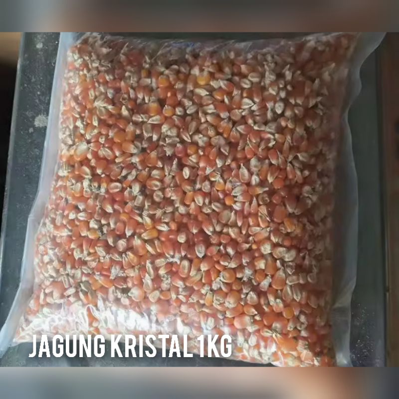 

jagung kristal