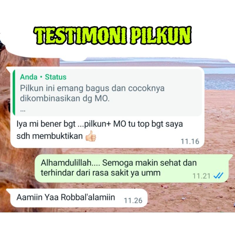 Pil kuning, kolesterol, asam urat, jamu kolesterol, diet, lambung