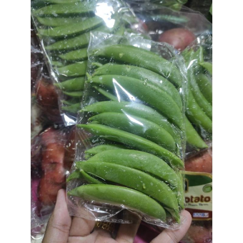 

kapr impor 1bks berat 150grm
