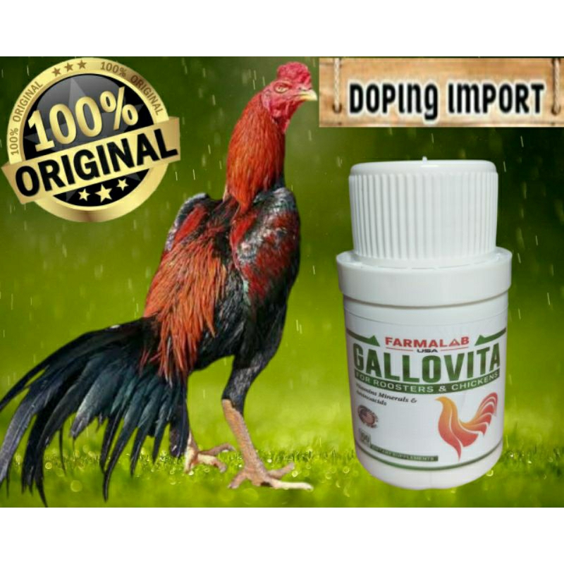 GALLOVITA Obat Vitamin Ayam Aduan Stamina Semakin Kuat Tarung Asli Original Import