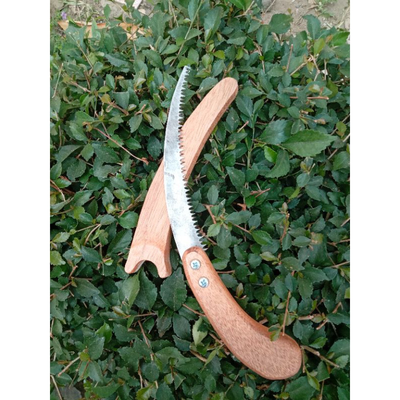 Gergaji bonsai lengkung sarung, gergaji dahan bonsai mini, gergaji baja slendang