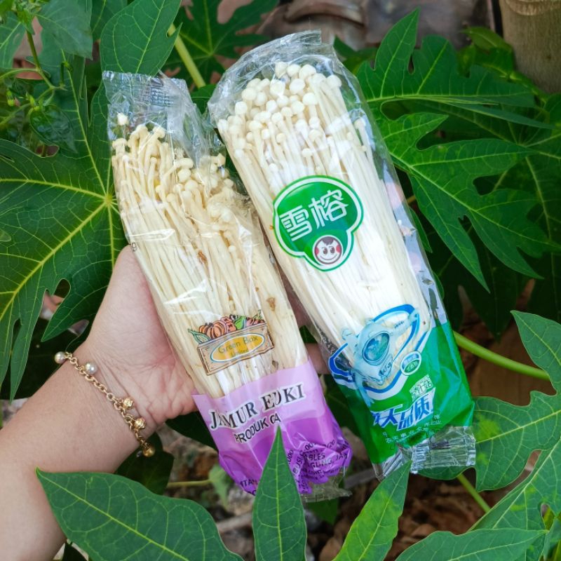 

JAMUR ENOKI