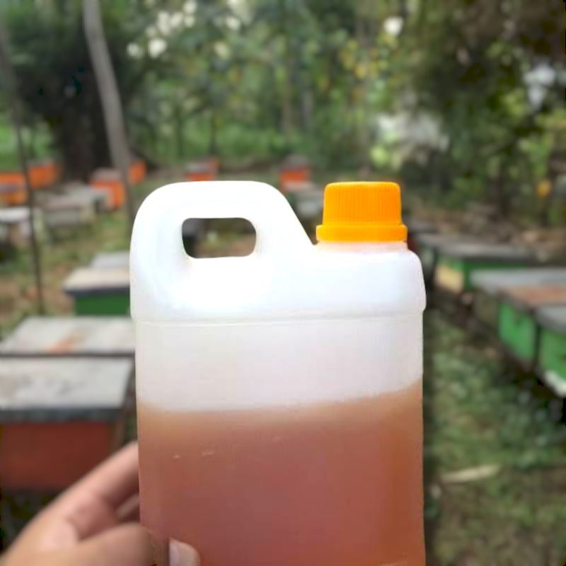 

#MADU MURNI NEKTAR MULTIFLORA (lebah penghisap aneka bunga) #1kg #RAW HONEY (madu mentah tanpa pengolahan, nutrisi lebih) #TANPA TERSENTUH TANGAN #KEMASAN JURIGEN #PANENAN MADU JAWA TENGAH #PENGIRIMAN CEPAT #PACKING AMAN #MALANG #JAWA TIMUR #INDONESIA