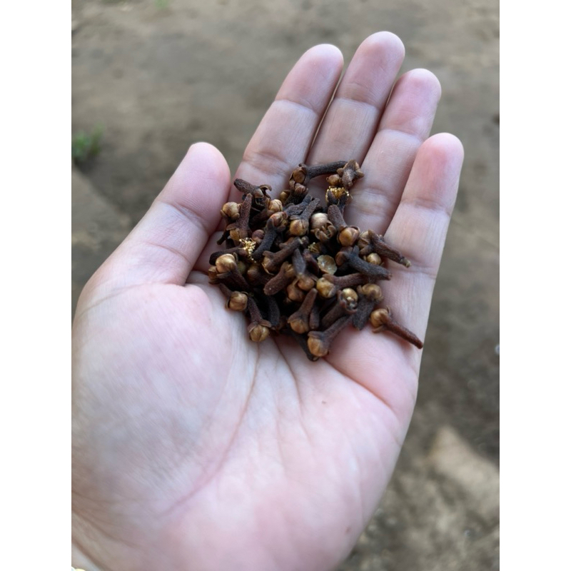 

Cengkeh Kering/Cloves/Rempah, Cengkeh Rempah Kering Clove