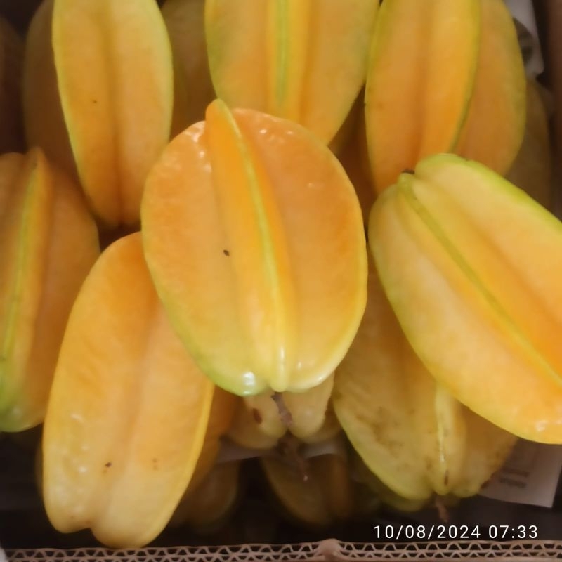 

Belimbing Madu Muda Segar