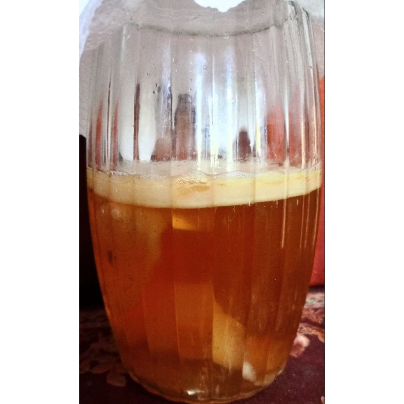 

Bibit Kombucha + Starter 300ml
