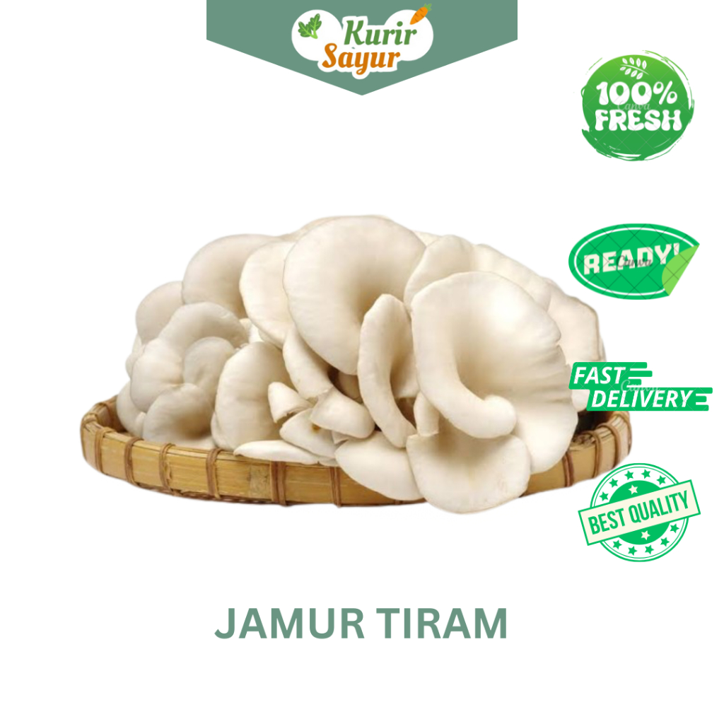 

KURIR SAYUR - JAMUR TIRAM FRESH 250 GR