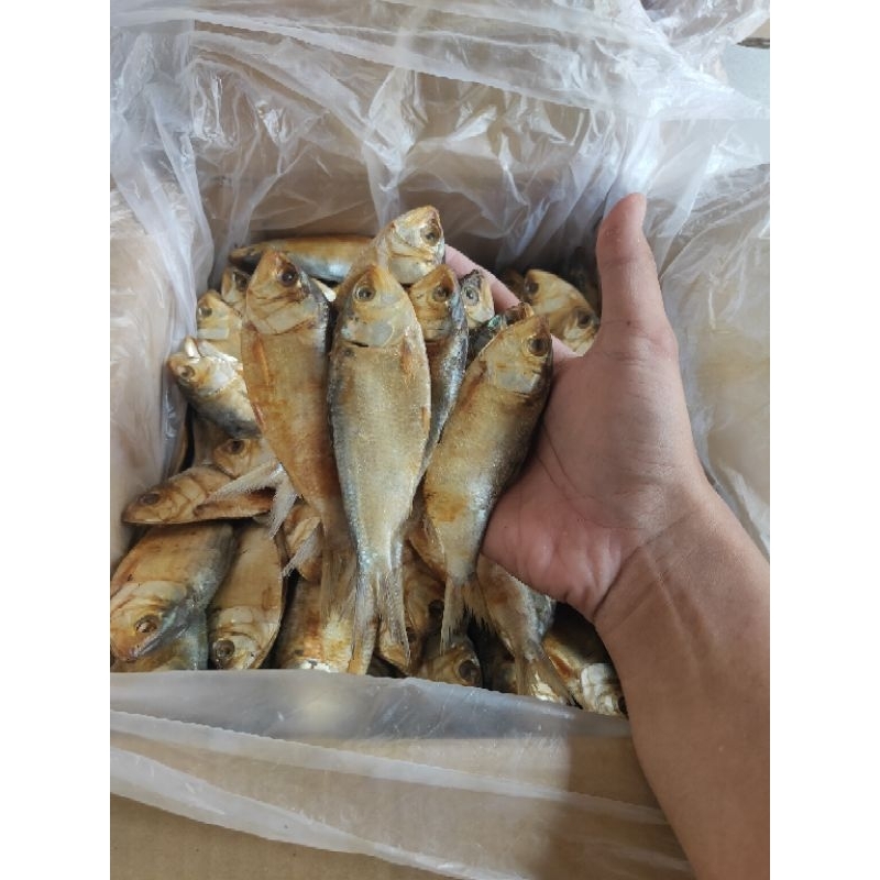 

ikan asin BELO isi 1kg murah