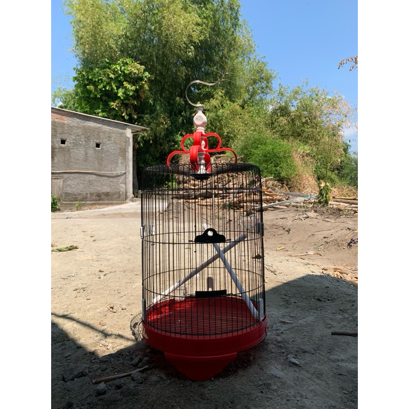 sangkar besi burung kacer