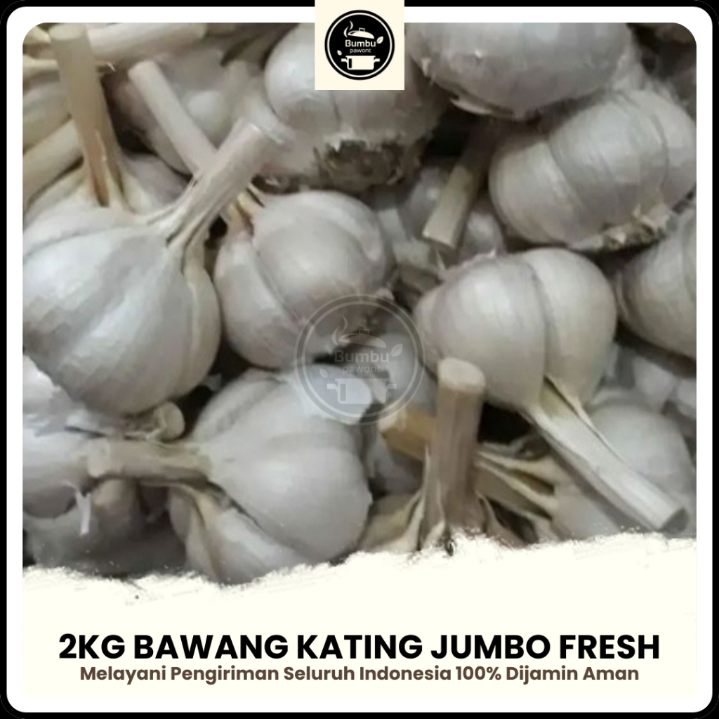 

Bawang Putih Kating Jumbo 2 Kg Bersih Fresh